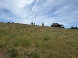 5559 Riley Lane - Photo 9