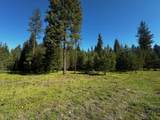 NHN Graves Creek Loop - Photo 2