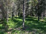 NHN Graves Creek Loop - Photo 3