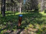 NHN Graves Creek Loop - Photo 4