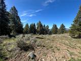384 Crevice Mountain Road - Photo 11