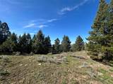 384 Crevice Mountain Road - Photo 12