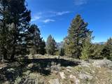 384 Crevice Mountain Road - Photo 13
