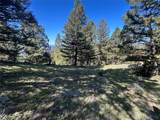 384 Crevice Mountain Road - Photo 17