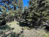 384 Crevice Mountain Road - Photo 19