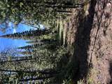 384 Crevice Mountain Road - Photo 24