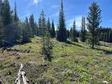 384 Crevice Mountain Road - Photo 4