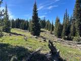 384 Crevice Mountain Road - Photo 5