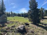 384 Crevice Mountain Road - Photo 6
