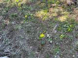 384 Crevice Mountain Road - Photo 8