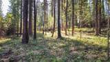 1505 Kootenai River Road - Photo 7