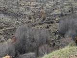 -- Hwy 93 - Photo 6