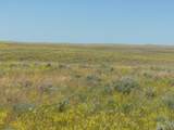 80 Wilder Trail - Photo 13