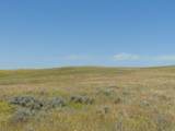 80 Wilder Trail - Photo 15