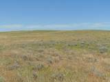 80 Wilder Trail - Photo 16