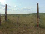 80 Wilder Trail - Photo 3