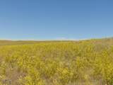 80 Wilder Trail - Photo 32