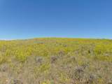 80 Wilder Trail - Photo 33