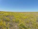 80 Wilder Trail - Photo 34