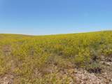 80 Wilder Trail - Photo 35