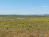 80 Wilder Trail - Photo 4