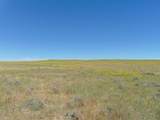 80 Wilder Trail - Photo 41