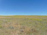 80 Wilder Trail - Photo 42