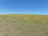 80 Wilder Trail - Photo 43