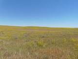 80 Wilder Trail - Photo 44