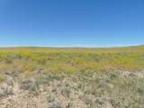 80 Wilder Trail - Photo 45