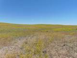 80 Wilder Trail - Photo 46