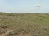 80 Wilder Trail - Photo 55