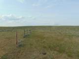 80 Wilder Trail - Photo 57