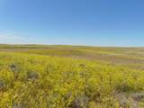 80 Wilder Trail - Photo 6