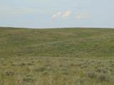 80 Wilder Trail - Photo 64