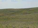 80 Wilder Trail - Photo 65