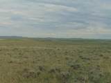 80 Wilder Trail - Photo 69