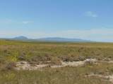 80 Wilder Trail - Photo 7