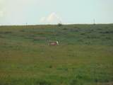 80 Wilder Trail - Photo 73