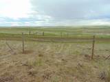 80 Wilder Trail - Photo 75