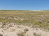 80 Wilder Trail - Photo 9