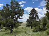 Lot 2 & 4A Continental Divide Road - Photo 1