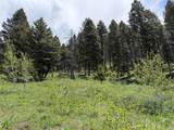 Lot 2 & 4A Continental Divide Road - Photo 15