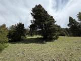 Lot 2 & 4A Continental Divide Road - Photo 19