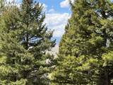 Lot 2 & 4A Continental Divide Road - Photo 20