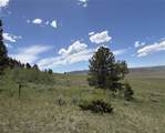 Lot 2 & 4A Continental Divide Road - Photo 30