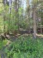 255 Cedar Street - Photo 4