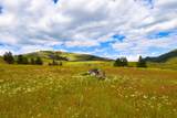 Tract 2 Henry Creek Road - Photo 1