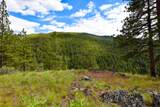 Tract 2 Henry Creek Road - Photo 12