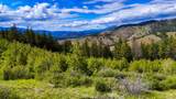 Tract 2 Henry Creek Road - Photo 23